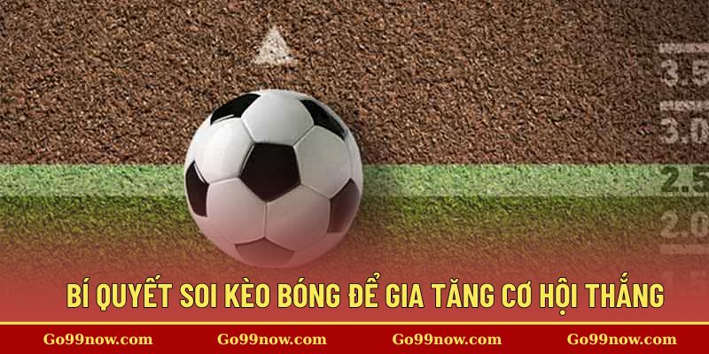 Bí quyết soi kèo bóng để gia tăng cơ hội thắng cược