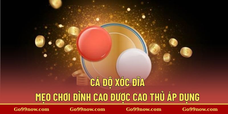 Cá Độ Xóc Đĩa